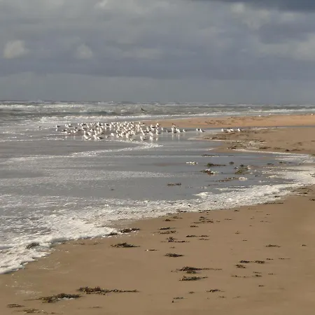 Nvh Banjaert Wijk aan Zee